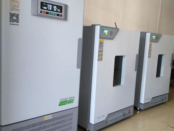 恒温恒湿培养箱