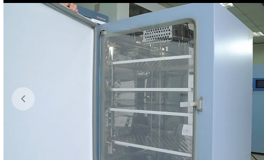 提升实验效率的关键:如何精挑细选恒温振荡摇床?